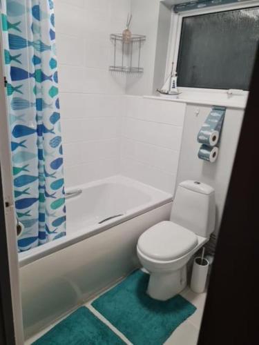a bathroom with a toilet and a shower curtain at SQUIRRELSTONE in Gurnard