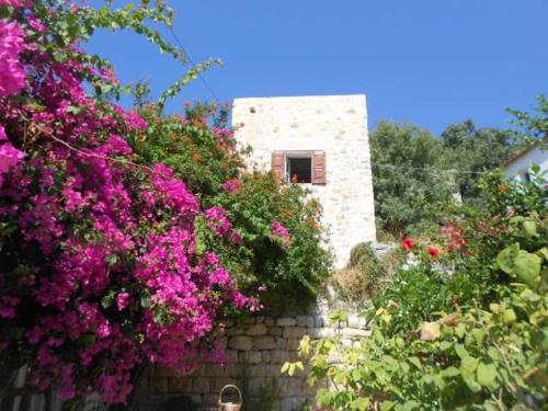 a stone building with pink flowers in front of it at villa Elpiniki Tilos in Megálon Choríon