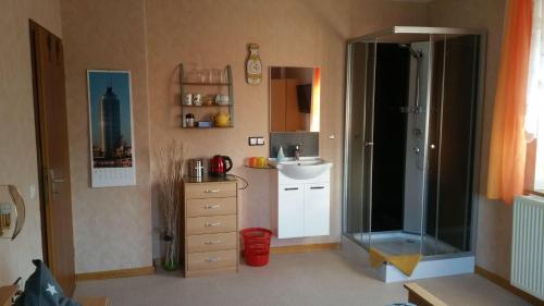 La petite salle de bains est pourvue d'une douche et d'un lavabo. dans l'établissement Tiny-Apartment-in-Gemuenden-an-der-Wohra, à Gemünden an der Wohra