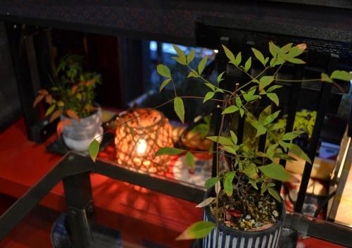 Kyoto Shirakawa Kiraku Innにある庭