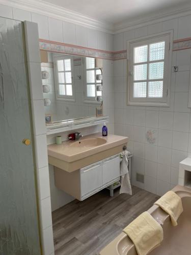 une salle de bain avec un lavabo et un miroir dans l'établissement Villa Provençale Le Mas Busien, à La Motte