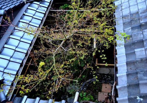 ゲストハウスが所在する建物