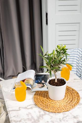 a plant in a pot on a table with two oranges at Skiathos Theros, Philian Hotels and Resorts in Skiathos Town