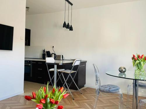 Televízia a/alebo spoločenská miestnosť v ubytovaní Łuczański Apartament w sercu Giżycka
