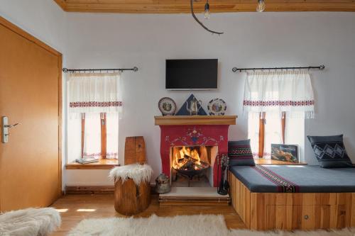 モノデンドリにあるArchontiko Rapti Stone Traditional Houseのリビングルーム(暖炉、ソファ、テレビ付)