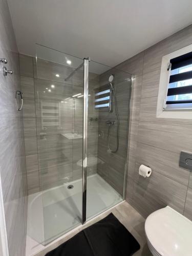 a bathroom with a glass shower with a toilet at Apartmán Provence Deluxe in Doksy