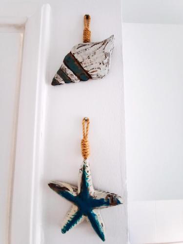 a pair of starfish hanging on a wall at AVATEA in Corralejo