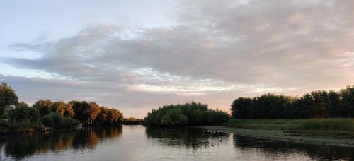 a river with trees and a cloudy sky at Wild Carp in Dunavăţu de Jos