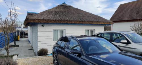a small house with a thatch roof and a car at Wild Carp in Dunavăţu de Jos
