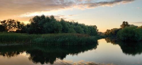 a river with the sun setting in the background at Wild Carp in Dunavăţu de Jos