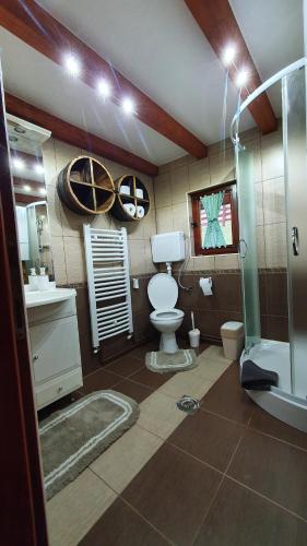 a bathroom with a toilet and a sink and a shower at Vikendica Kločanica in Strmosten