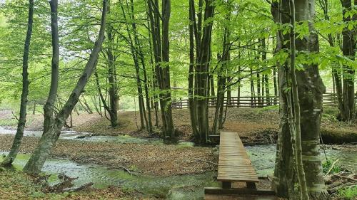a wooden bridge over a stream in a forest at Vikendica Kločanica in Strmosten