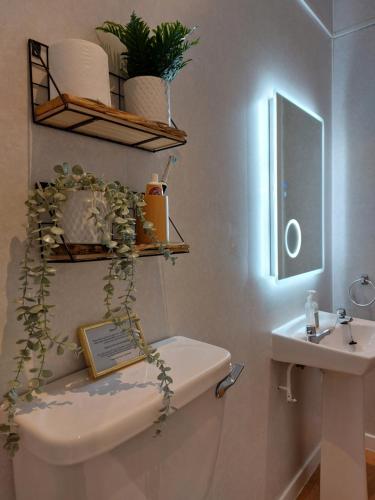 a bathroom with a toilet and a sink with a plant on it at Shetland Cottage Kincraig in Kincraig