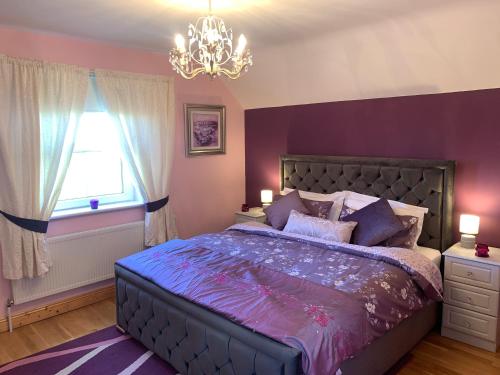 a purple bedroom with a large bed and a chandelier at Seascape on the edge of town: 4 beds all ensuite. in Belmullet