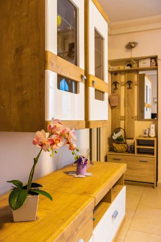 Apartment Rajevac