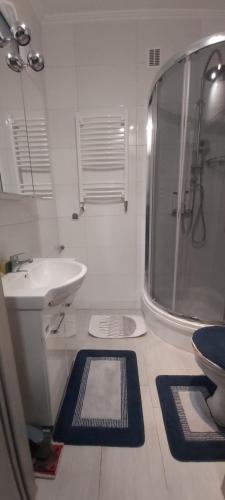 a bathroom with a shower and a sink and a toilet at apartament u Eli in Stronie Śląskie
