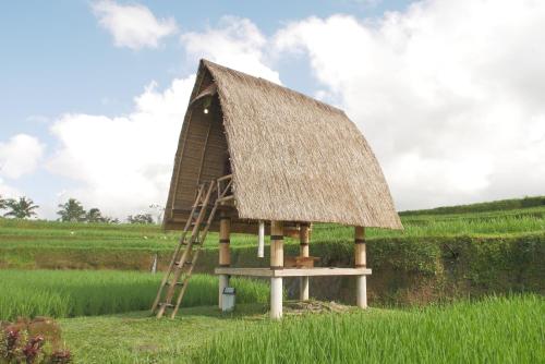 a grass roofed hut with a ladder in a field at Batan Nyuh Retreat in Gianyar