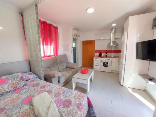 Estudio Lola