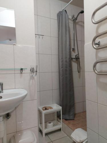 a bathroom with a sink and a toilet and a shower at ,,Įlanka" in Rumšiškės
