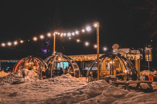a group of domes in the snow at night at Jasna Chalet Resort in Kranjska Gora