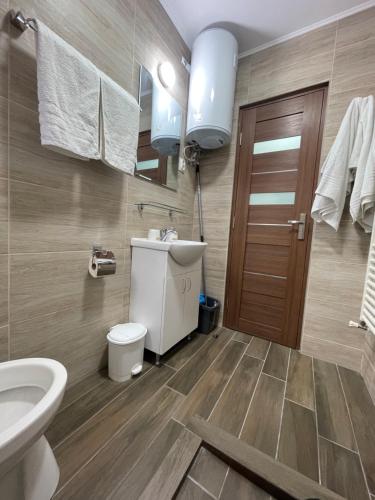 a bathroom with a toilet and a sink at Casa Titiana Suncuius in Şuncuiuş