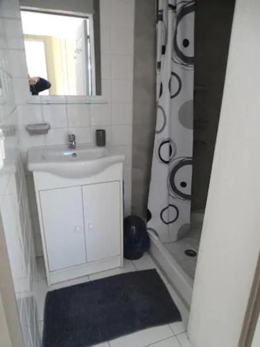 une salle de bain blanche avec un lavabo et une douche dans l'établissement Appartement 35 m² bord de lac Aix les Bains (73), à Aix-les-Bains