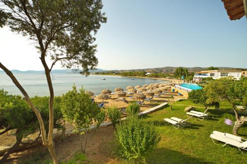 a view of a beach with a bunch of chairs at Venus Beach Hotel in Nea Stira