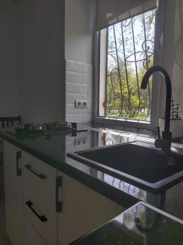 eine Küche mit einem Waschbecken und einem Fenster in der Unterkunft 2-х комнатная квартира in Taras