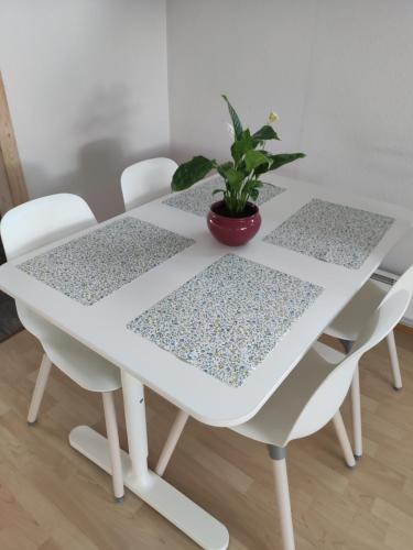a white table with chairs and a potted plant on it at FeelHome One bedroom apartment Vidarsveg in Tromsø