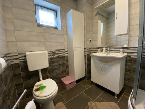 a bathroom with a toilet and a sink at Apartment Liso in Seliste Dreznicko