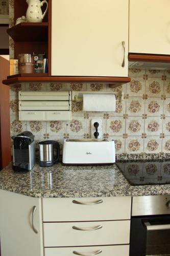 eine Küche mit einer Arbeitsplatte und einem Waschbecken in der Unterkunft marsupilami in Pobla de Segur