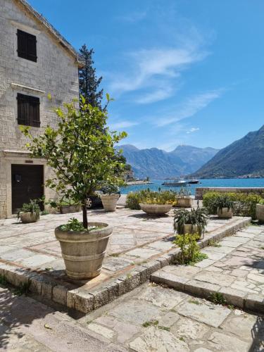 a stone courtyard with a tree in a pot at Veneto in Perast