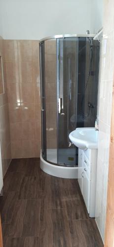 ein Bad mit einer Dusche und einem Waschbecken in der Unterkunft Villa Federer in Dolní Zálezly