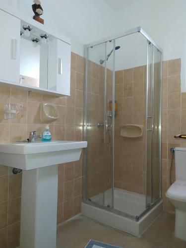 a bathroom with a shower and a sink and a toilet at Anna Maria Apartments in Kardamaina