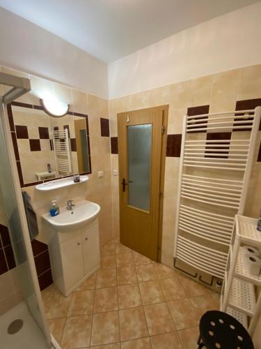 Koupelna v ubytování Apartment Martinec