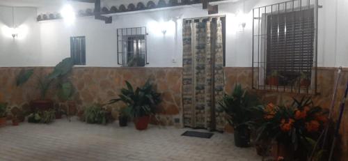 a room with potted plants and a bird on the wall at Casa Cueva El Almendro in Pegalajar