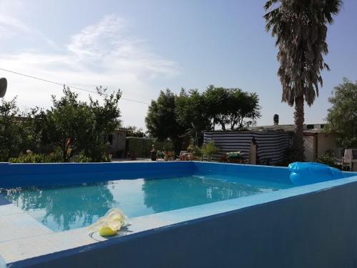 a blue swimming pool with a ball in the water at La casa in campagna di Ottavia in Alezio