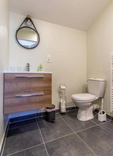 une salle de bain avec toilettes et miroir dans l'établissement Gite calme et cosy, toutes commodités et tourisme, à Vigny-lès-Paray