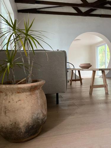 a living room with a couch and a potted plant at Casa Terra Lumi - at lumicollection in Fort Lauderdale