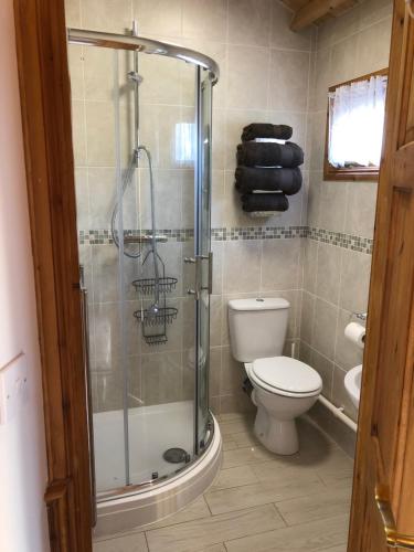 a bathroom with a toilet and a glass shower at Cosy dog friendly lodge with an outdoor bath on the Isle of Wight in Whitwell