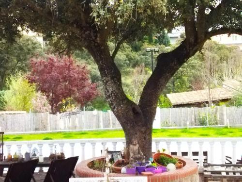 uma mesa debaixo de uma árvore com uma tigela de comida em Lovely home nearby Madrid to enjoy nature em Villaviciosa de Odón