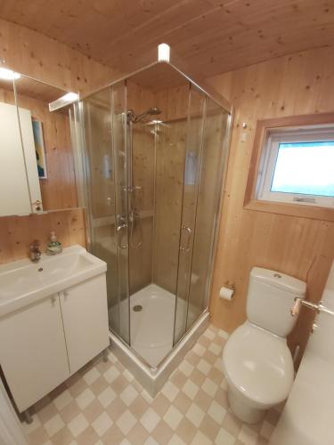 a bathroom with a shower and a toilet and a sink at Cosy Cottage in Golden Circle near Thingvellir in Vaðlækir