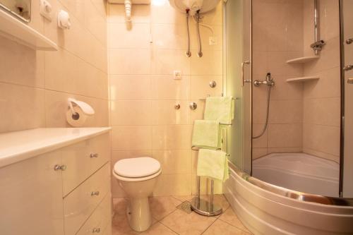 a bathroom with a toilet and a shower at Apartment Mario with Terrace and Sea View in Baška