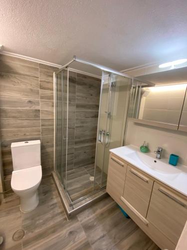 La salle de bains est pourvue d'une douche, de toilettes et d'un lavabo. dans l'établissement NanSea Apartment, à Loutra Elenis