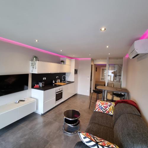 un salon avec un canapé et une cuisine dans l'établissement Le DESIR Port Nature 4 Coursives -vue mer, au Cap d'Agde