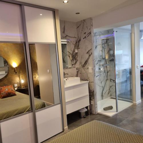 une salle de bain avec un lavabo et une douche dans l'établissement Le DESIR Port Nature 4 Coursives -vue mer, au Cap d'Agde