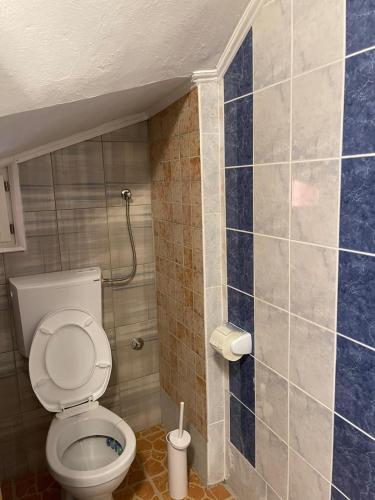 a bathroom with a toilet and a tiled wall at Apartman studio Lusi 1 in Subotica