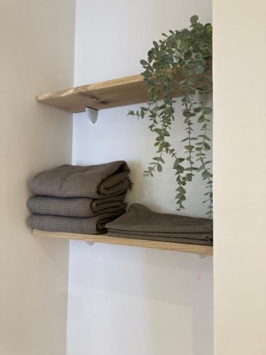 a shelf with towels and a potted plant on it at Appartement CUBA NICE in Saint-Laurent-du-Var