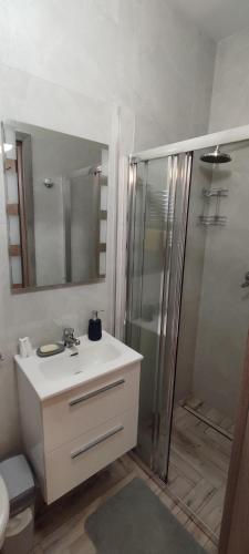 een badkamer met een witte wastafel en een douche bij Apartament Toruń Starówka - Ducha in Toruń