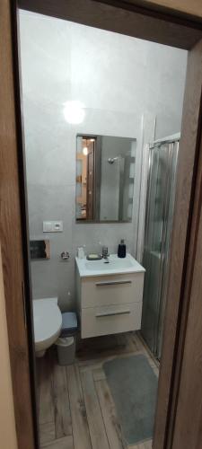 een badkamer met een wastafel, een toilet en een spiegel bij Apartament Toruń Starówka - Ducha in Toruń